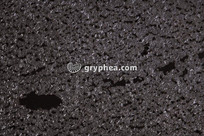 Andésite bulleuse LPA x1,7 - gryphea.org